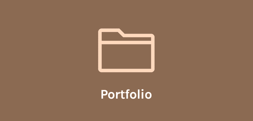 Portfolio meaning