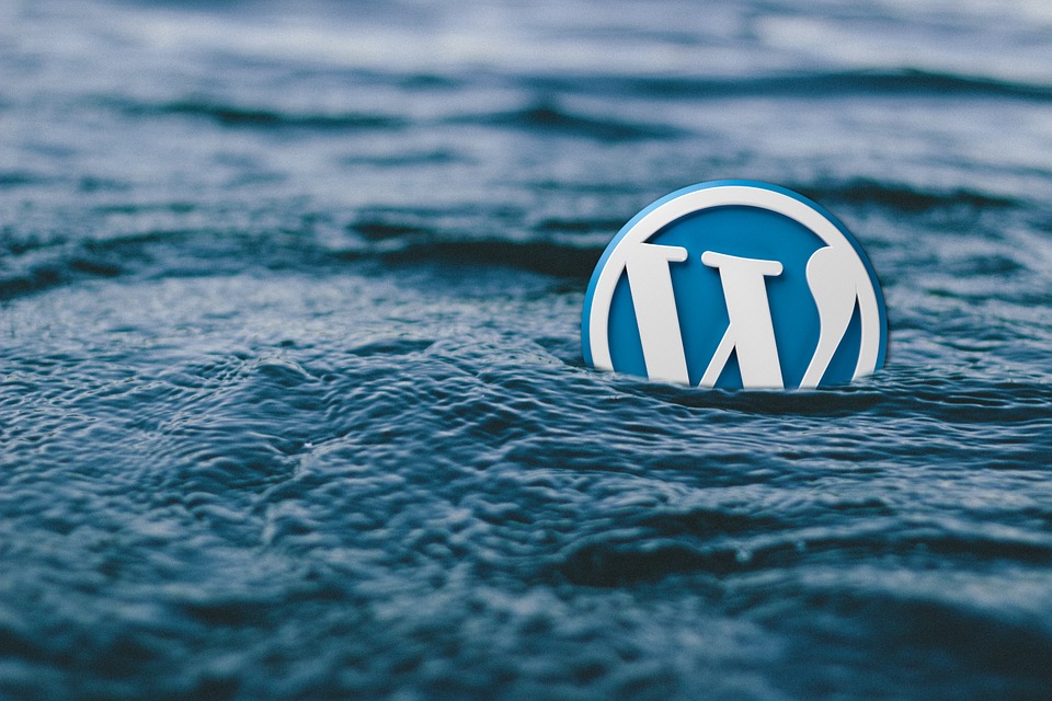 How To Find A Place Within The World Of WordPress