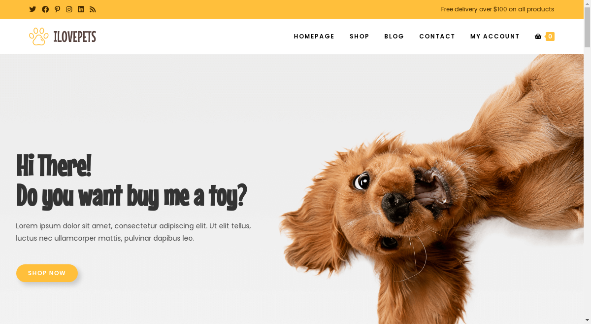 WordPress Template for WooCommerce - Ocean Pet Website Demo