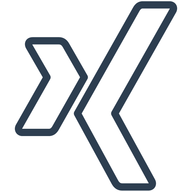 oceanwp svg icon xing