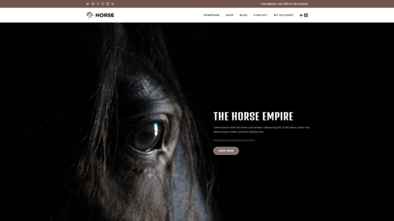 screenshot of the Ocean Horse WordPress template for WooCommerce