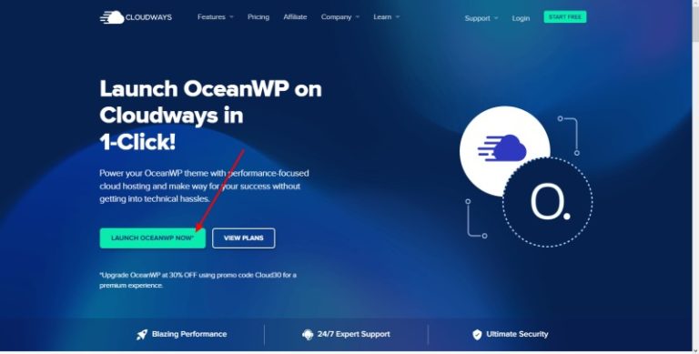 preview of the OceanWP Cloudways landing page