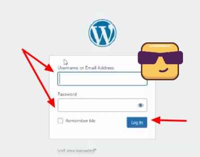 preview of how to enter admin credentials to log into OceanWP WordPress website