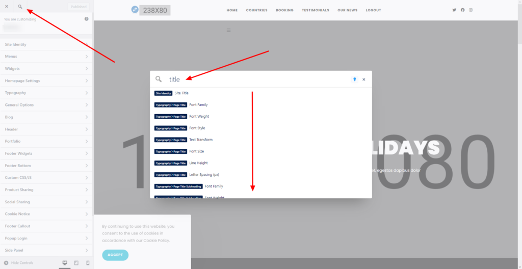 preview of the OceanWP Customizer Search option in action