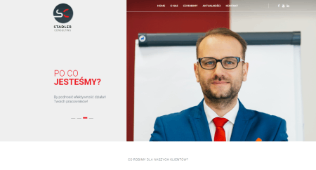 Consulting services website Stadler Consulting homepage built with OceanWP WordPress theme