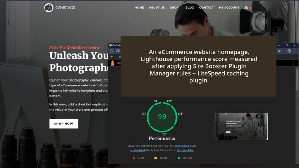 Boost WordPress Performance, SEO, Security & UX: Site Booster is Here! Ursus Minor