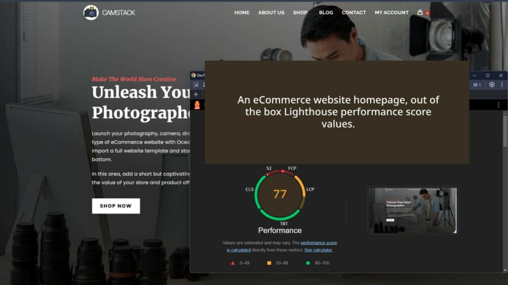 homepage Lighthouse performance score values